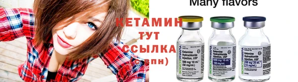 прущие грибы Балахна