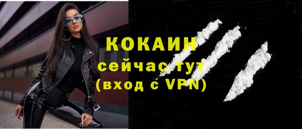прущие грибы Балахна