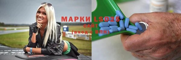 прущие грибы Балахна