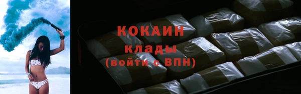 прущие грибы Балахна