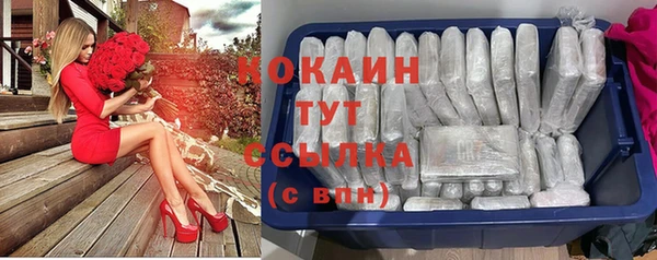 прущие грибы Балахна
