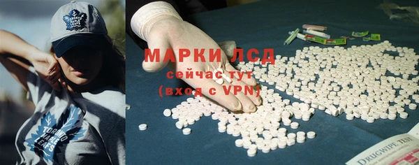 прущие грибы Балахна