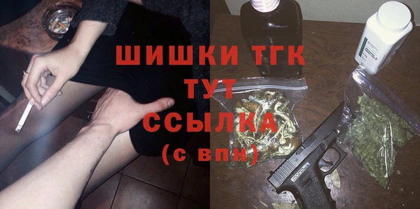 прущие грибы Балахна